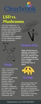 Easy-to-read infographic comparing the duration, intensity, and effects of Psilocybin and LSD for Australian psychonauts.
